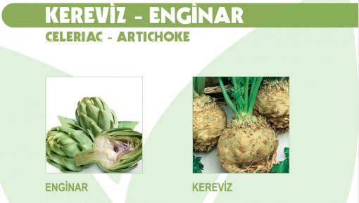 Kereviz - Enginar
