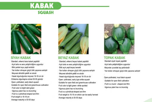 Kabak